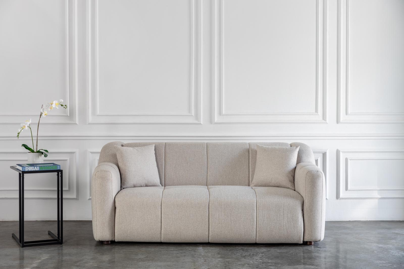 comeover modern sofa bed design in a room with white walls and a plant