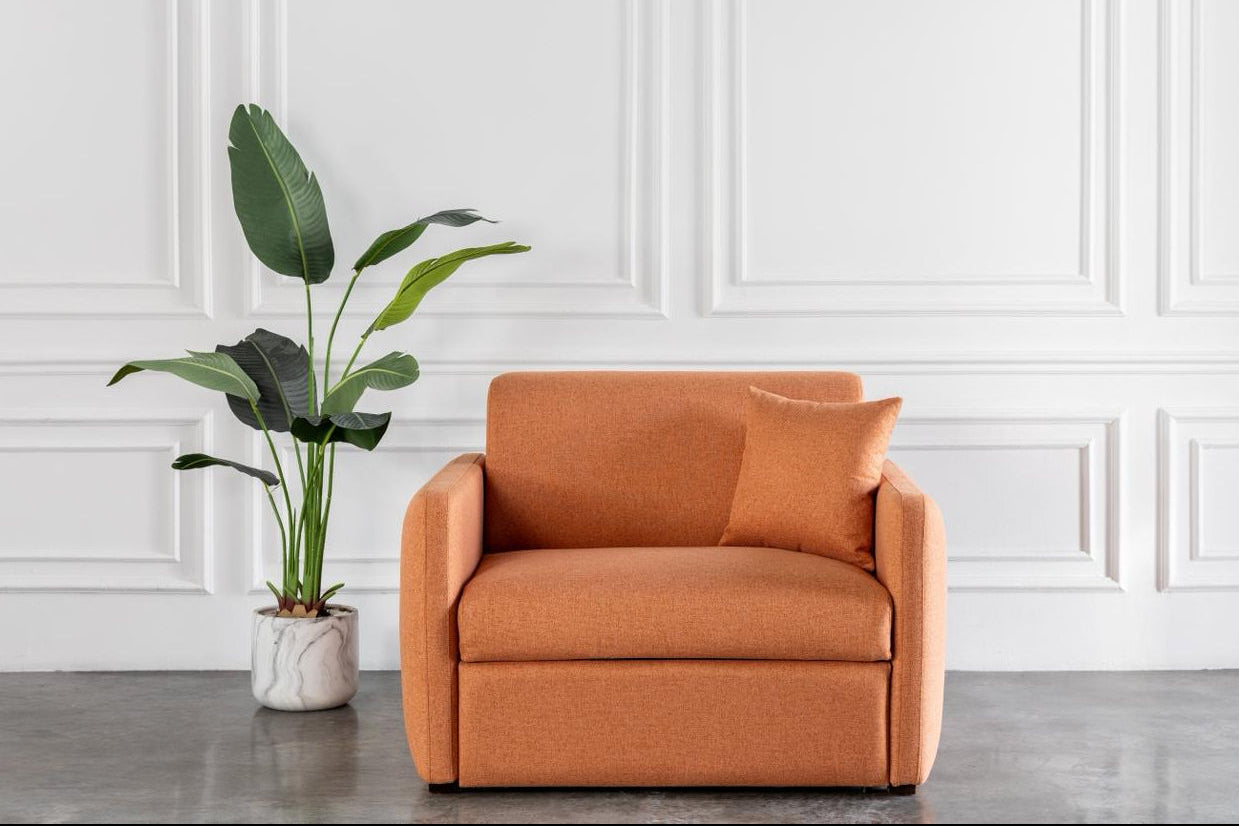 comeover modern sofa bed design in a room with white walls and a plant