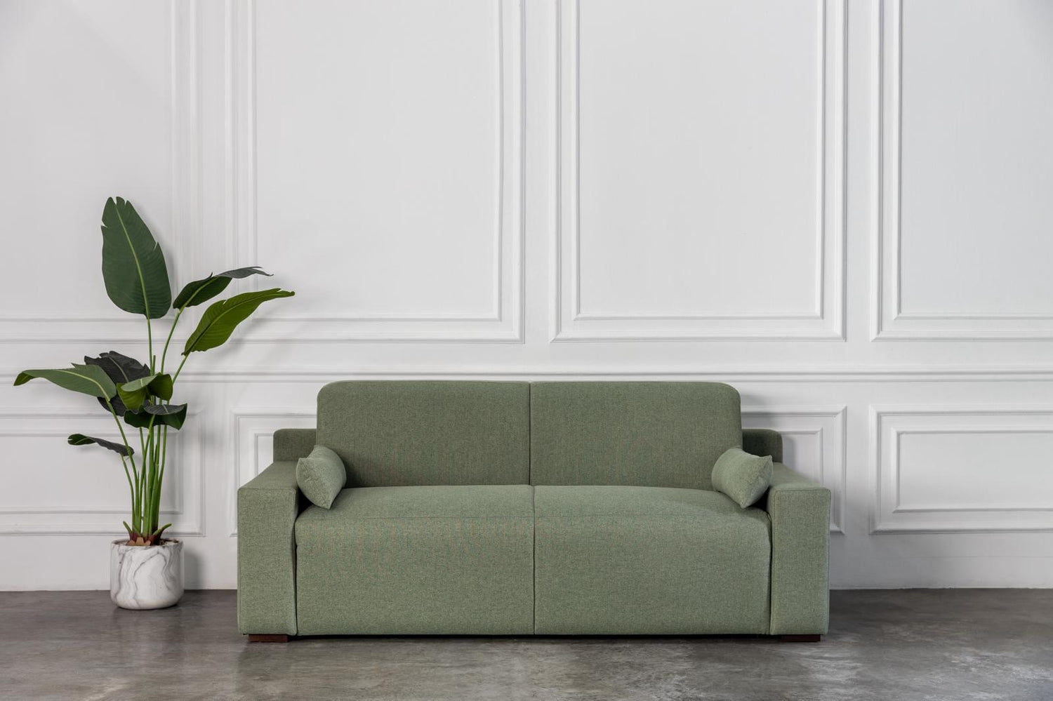 comeover green modern sofa bed design in a room with white walls and a plant.